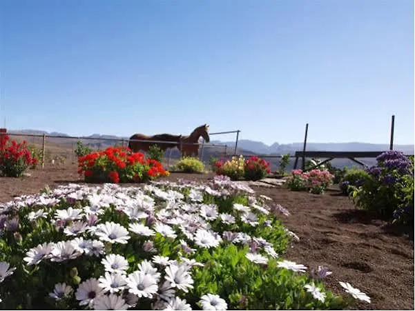 Country house The Black Horse Canarias - Adults Only Maspalomas